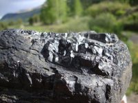 Anthracite Coal vs. Bituminous Coal